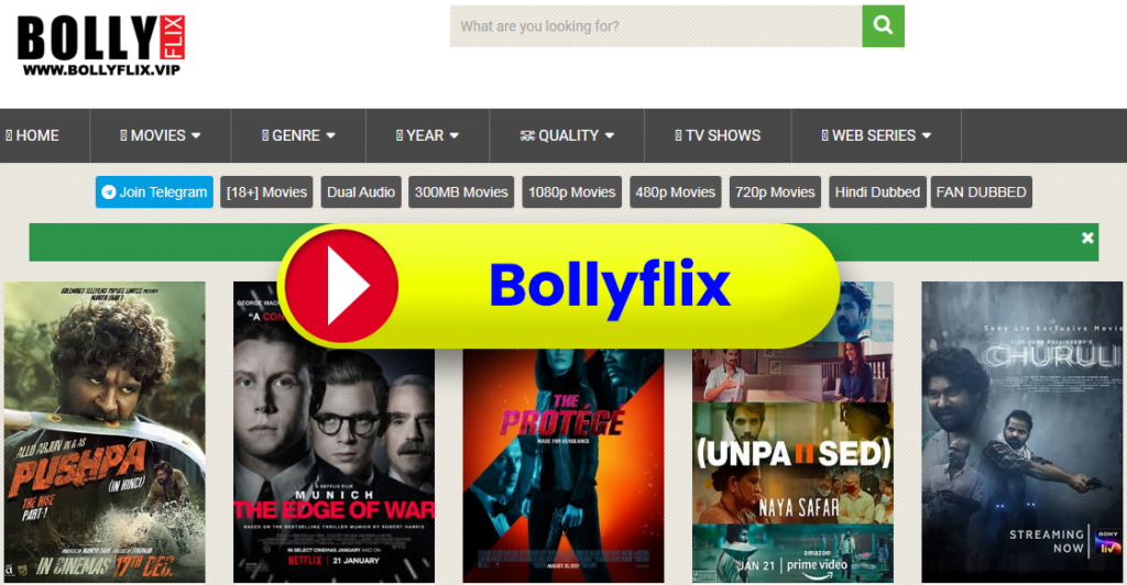 Bollyflix Bolly Flix Bollywood 300MB Movies 2022 Spinchil