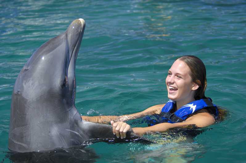 An intriguing fact about Swim with Dolphins in Punta Cana