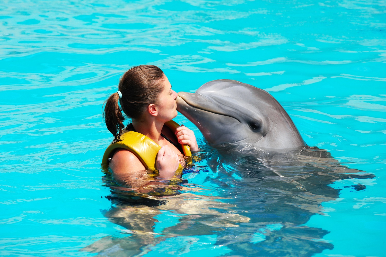 Dolphin Discovery Grand Cayman- Here are all the Informations!