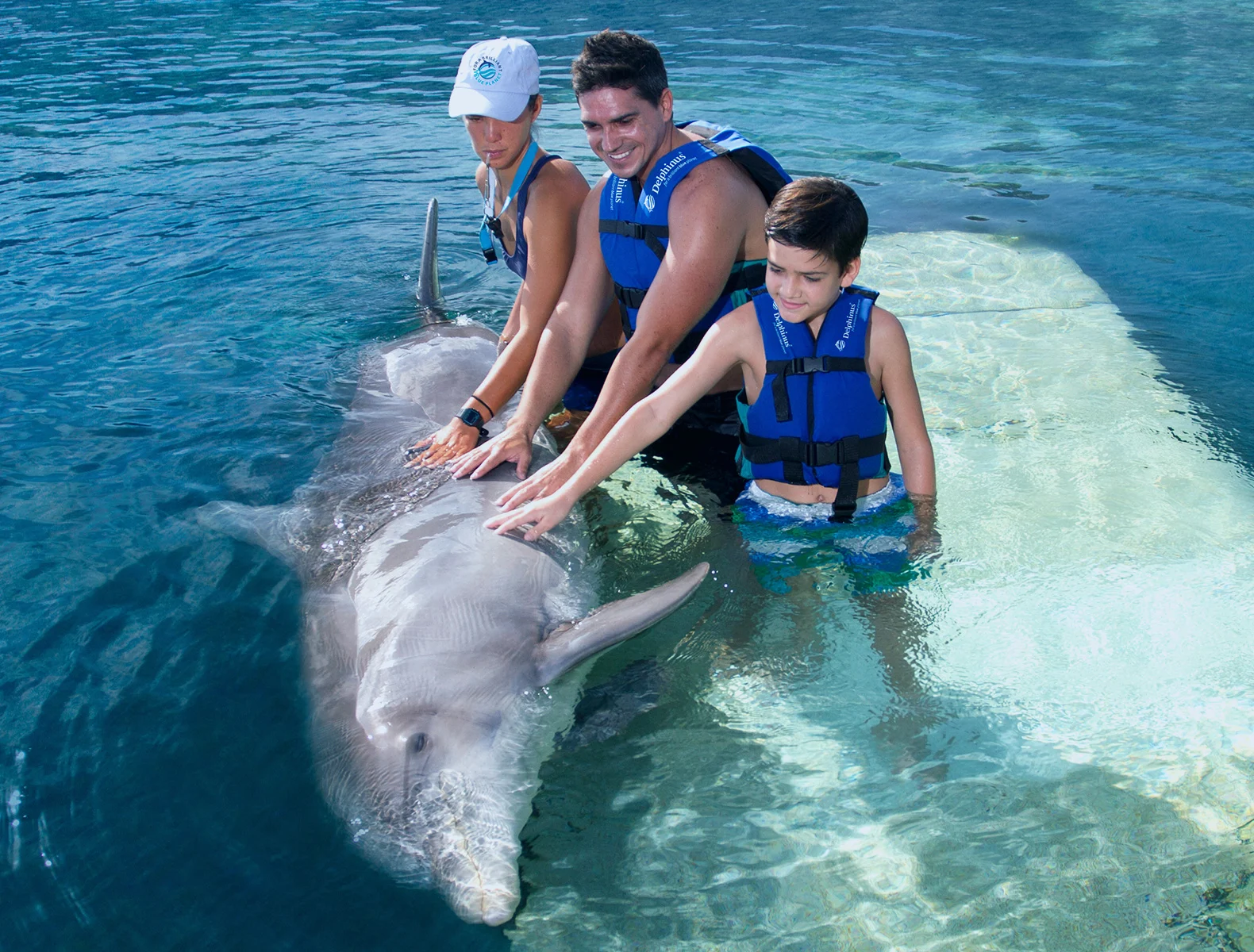 Enjoying swimming with dolphins in Cancun, Riviera Maya and Tulum